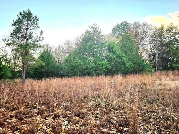 LOT 401 Mallard Way, Larue, TX 75770