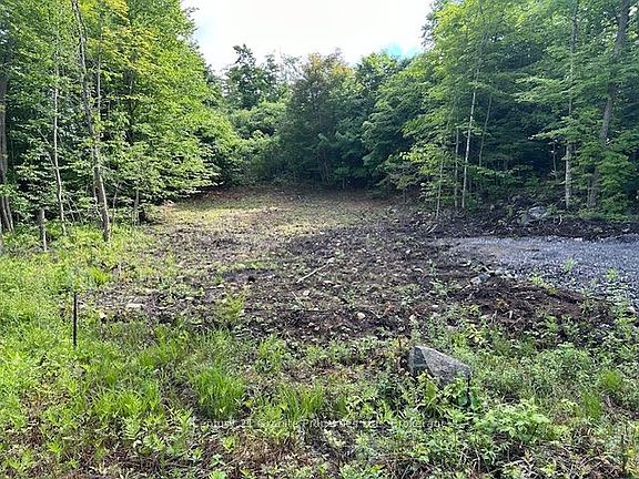 3rd image of 4 McNaughts Rd
