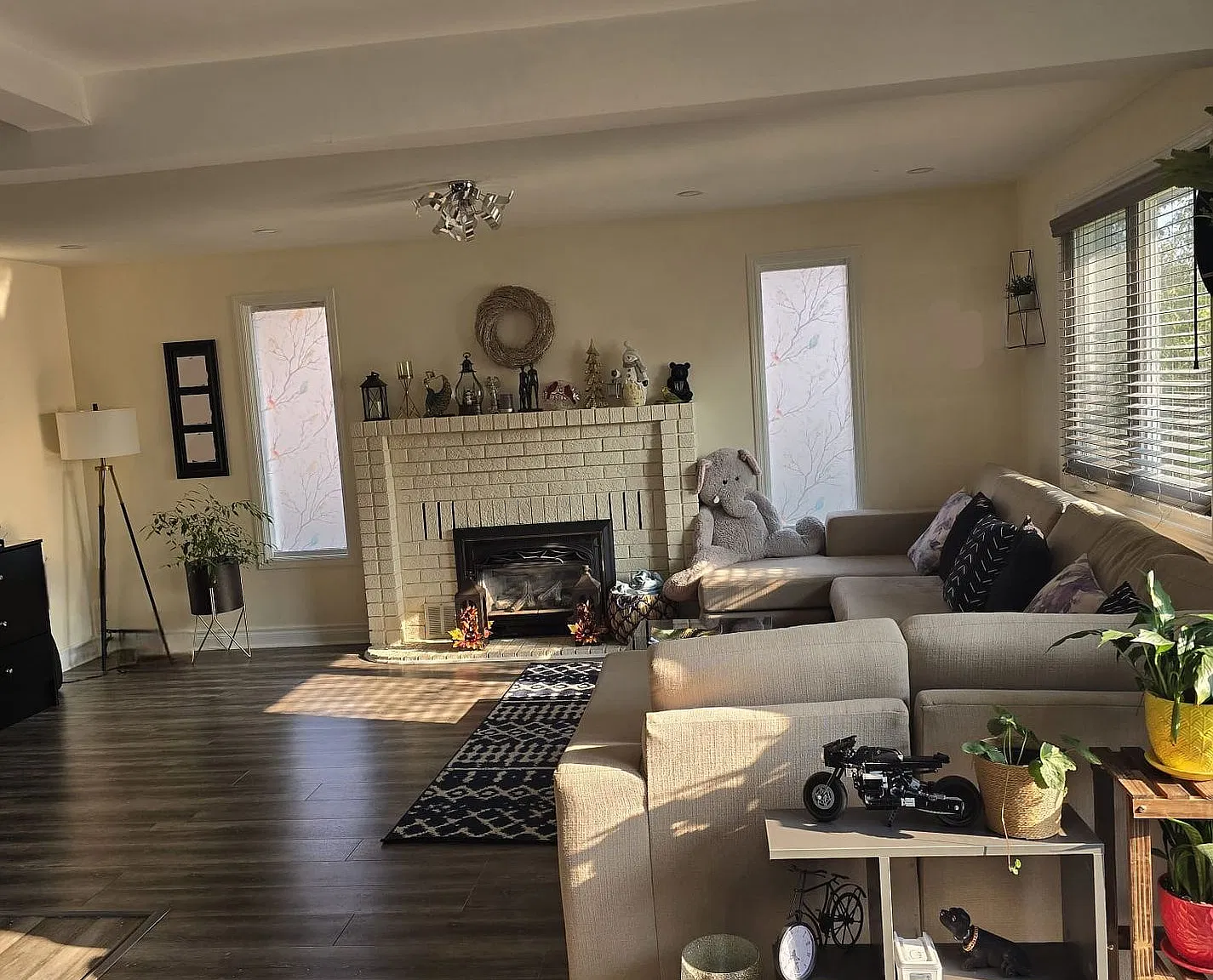3 bed, $3,100 — Photo 2