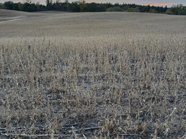 Tbd Placid Dr, Dent, MN 56528