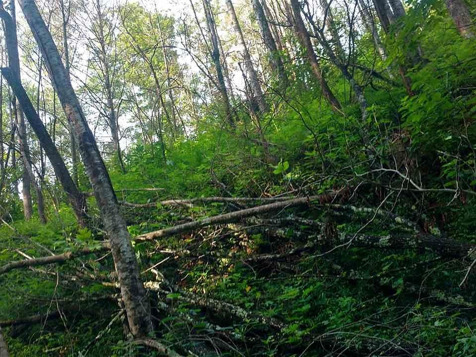 1st image of 116 Lady Slipper Ln Lot 2B