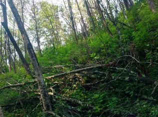 116 Lady Slipper Ln LOT 2B, Gatlinburg, TN 37738