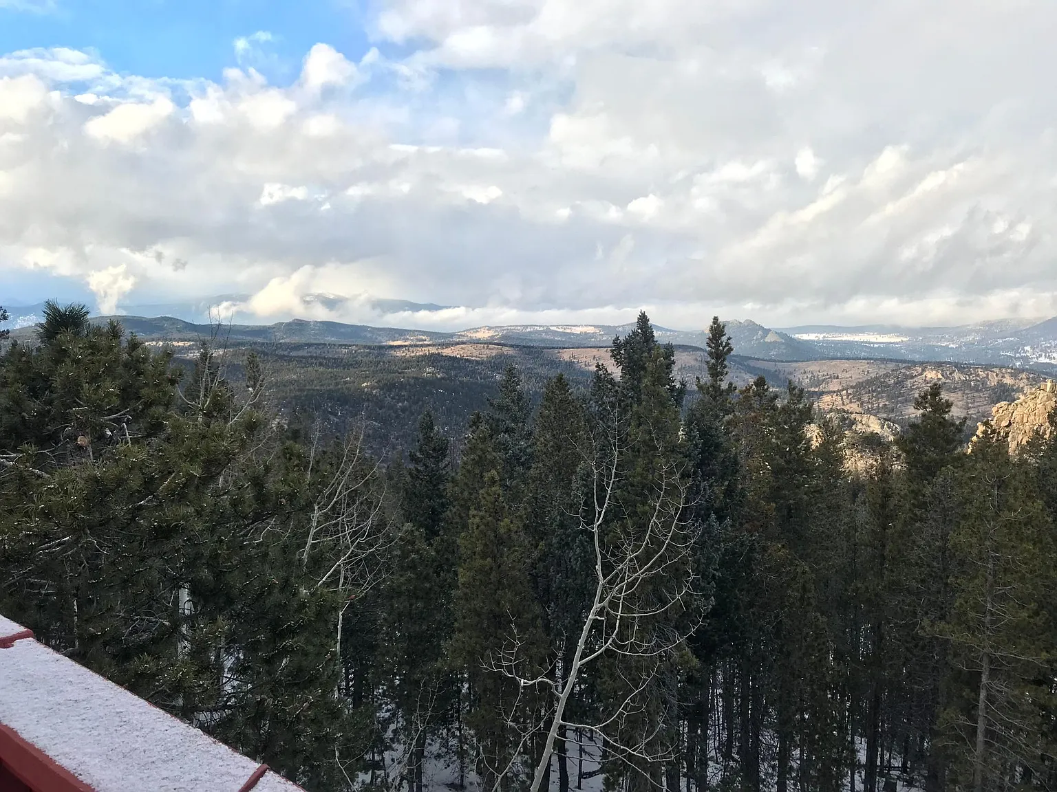 2 bed, 750 sqft, $1,350 — Photo 4