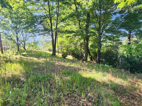 190 Stonefly Dr #157, Horse Shoe, NC 28742