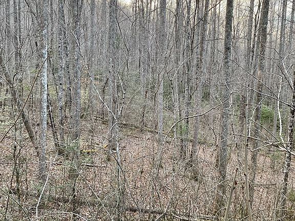 3rd image of 0 Carringer Rd #1-15