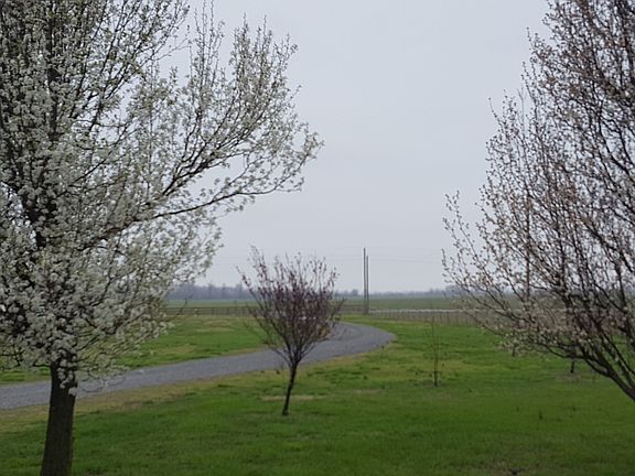 Front Driveway towards road