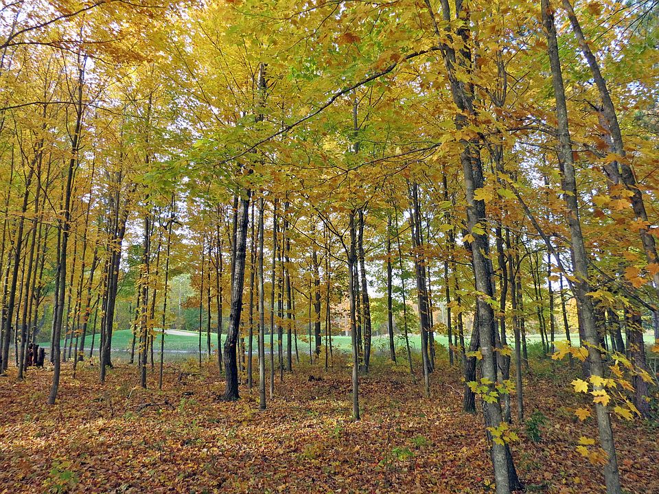 1st image of 0 Misting Morning Trail #27