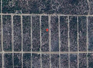 231 Iowa Ave LOT 11, Hawthorne, FL 32640