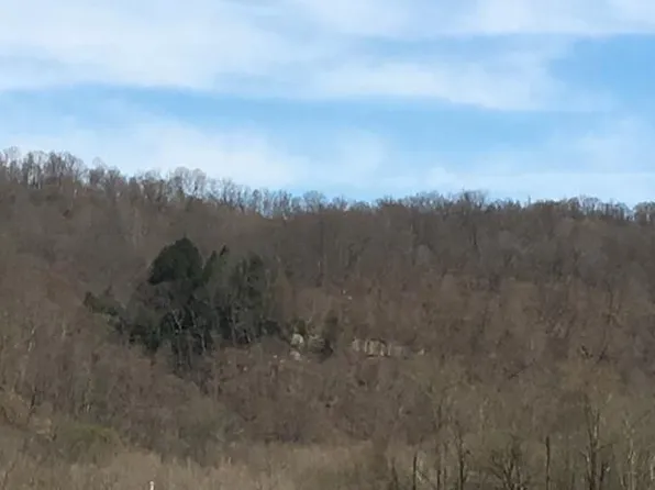 9201 Fish Creek Rd, Glen Easton, WV 26039