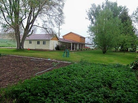 Back of home and garden area