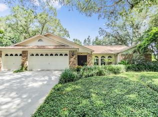 3901 Blue Maidencane Pl, Valrico, FL 33596