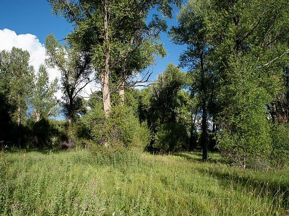 2nd image of  Kokanee Court