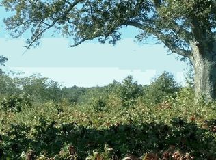 23242 Freedom Rd, Henrico, AR 72934