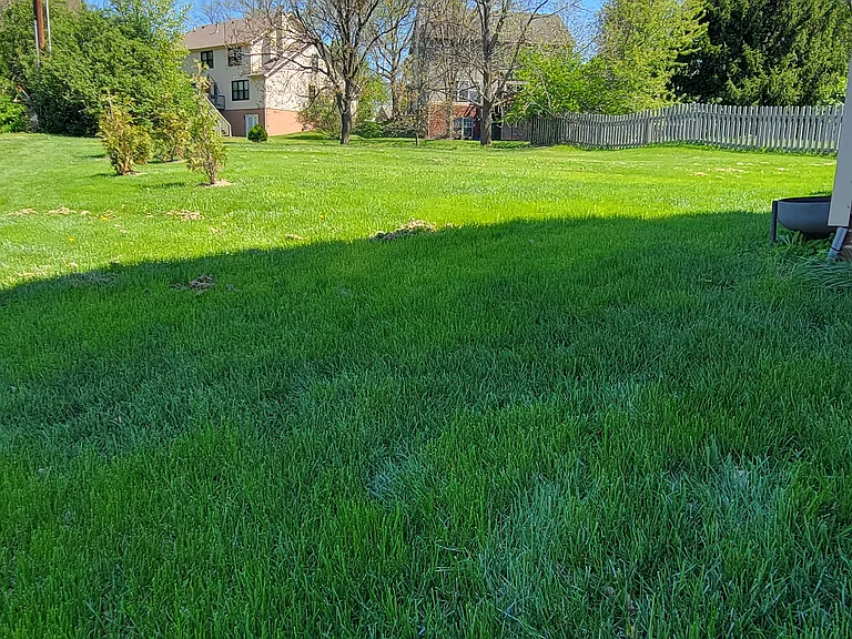 421 Forest Hill Dr — Photo 3