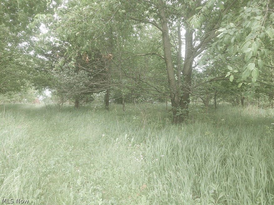 2nd image of Monroe Mills Rd