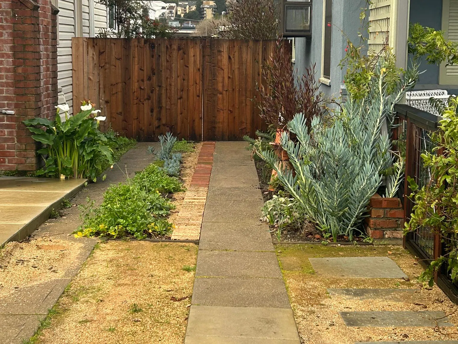 Behrens St, El Cerrito — Photo 3