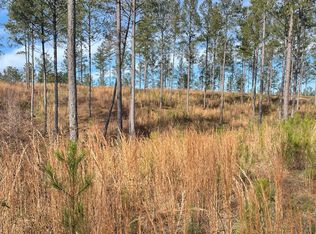 LOT 98 High River Rd, Ellijay, GA 30540