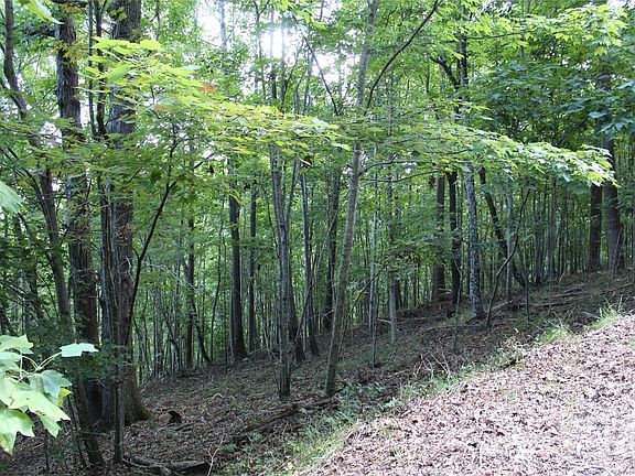 2nd image of 0 Azule Ridge Dr