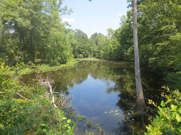Old Highway 49 Lot Wp004, Seminary, MS 39479