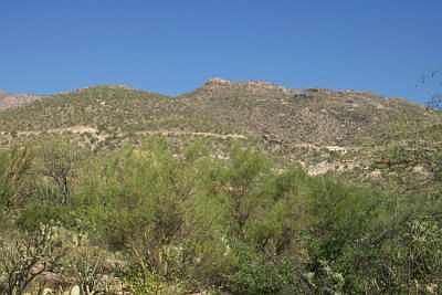 1st image of 12060 E High Saguaro Pl
