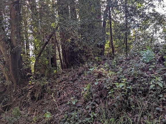 2nd image of 8055 Glen Haven Rd