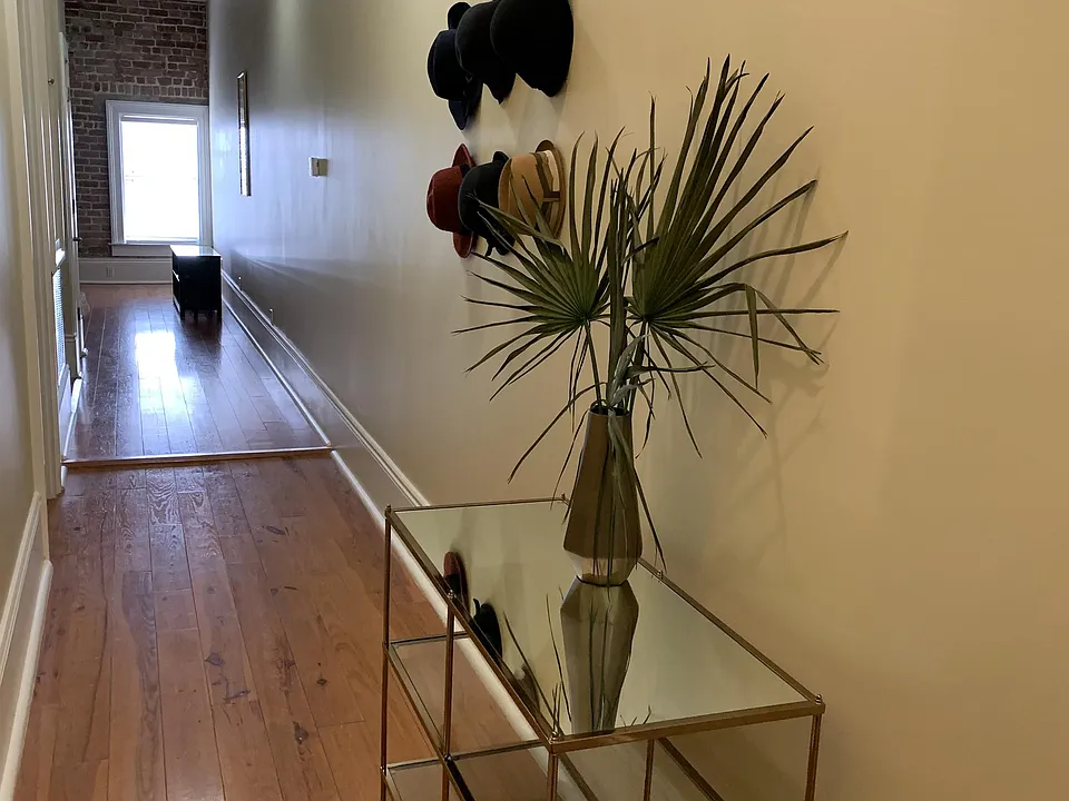 Entry hallway for transitioning from work to home and ready for a relaxing evening in this apartment