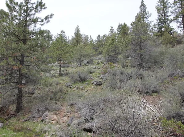 White Tail Ln Lot 19, Bonanza, OR 97623