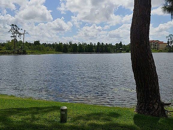 Raccoon Lake