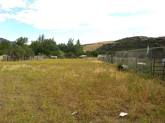 back field