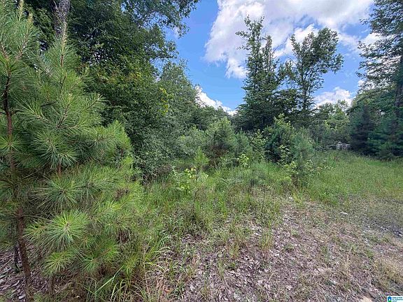 3rd image of 350 Oscar Bradford Rd #1