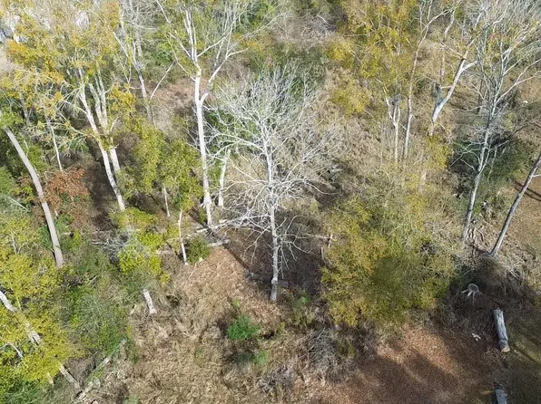 LOT 7 Horseshoe Rd W, Amite, LA 70422