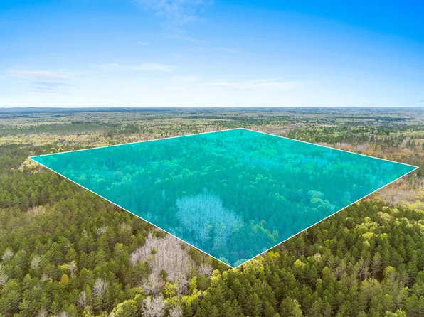 W10860 Medicine Creek Trl, Athelstane, WI 54104