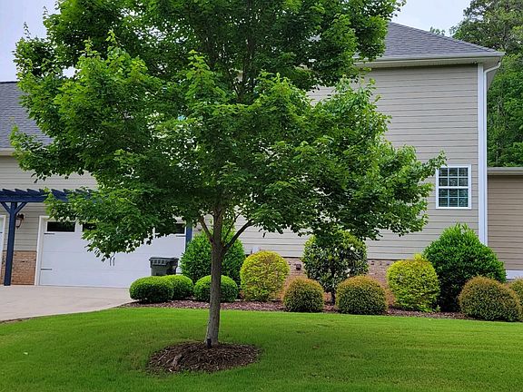 4th image of 6221 Cabin Branch Dr