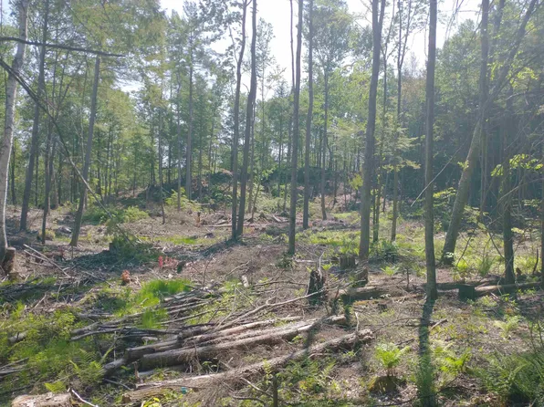 Part of 280 Davidson Hill Road, Westminster, VT 05158