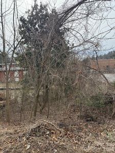 33 Johnson Dr #1, Asheville, NC, 28804