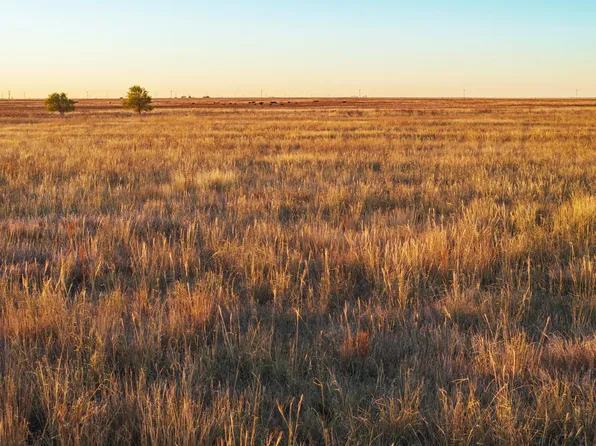 County Road 509, Hereford, TX 79045