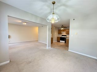 307 W Jackson St APT 2A, Woodstock, IL 60098