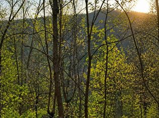 5 Heights Rdg, Cherry Log, GA 30522