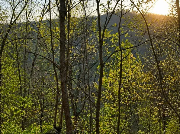 5 Heights Rdg, Cherry Log, GA 30522