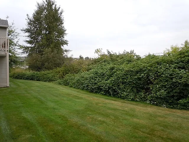 4234 Wintergreen Cir #187 — Photo 13