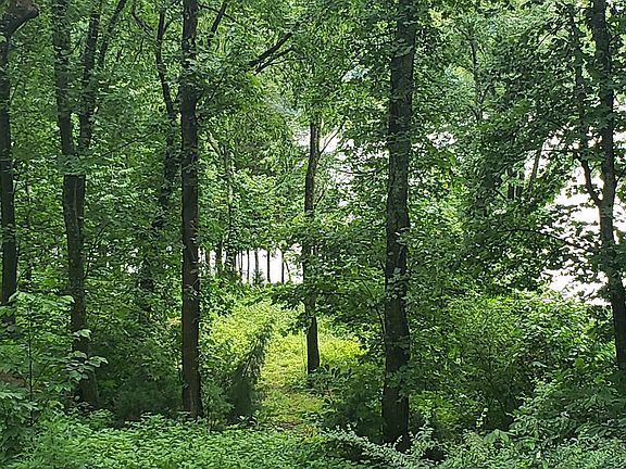 5th image of Walnut Bend Dr Lot 11