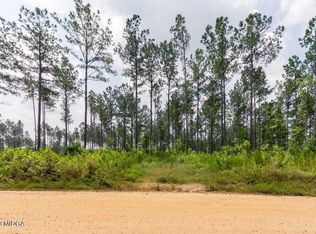 336 Potts Cemetery Rd, Forsyth, GA 31029