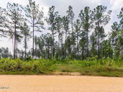 336 Potts Cemetery Rd, Forsyth, GA, 31029
