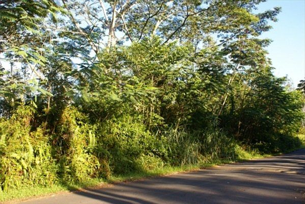 1st image of King Kamehameha Blvd Lot 4