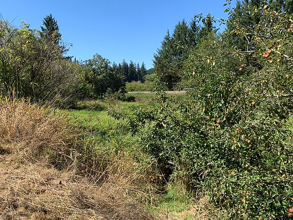 5th image of Tl 1000 Hwy #131