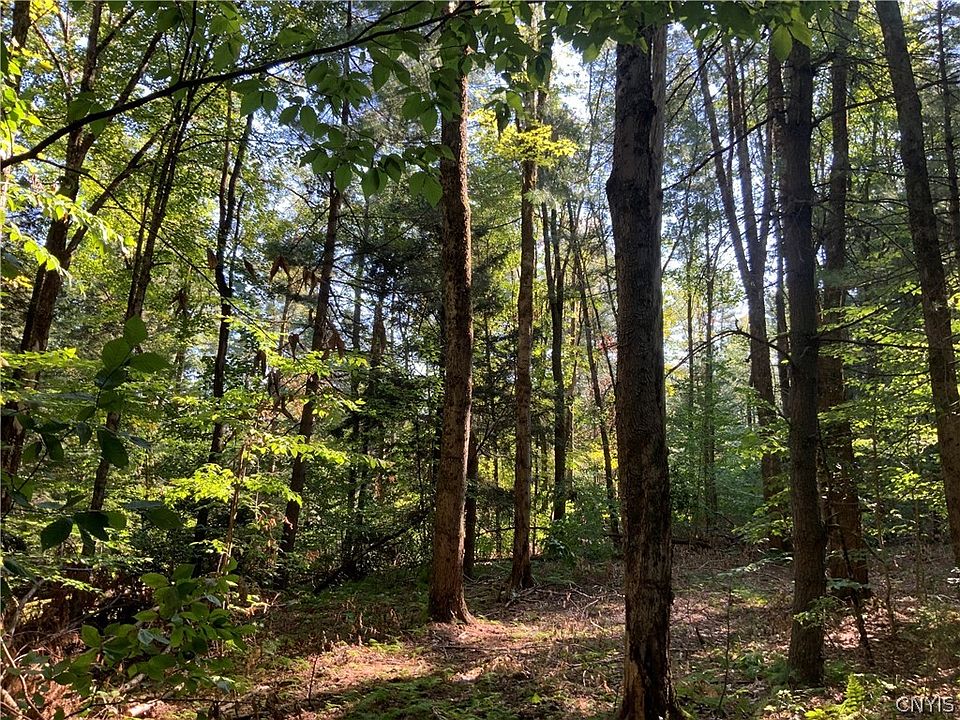 0 County Route 23, Williamstown, NY 13493 Zillow