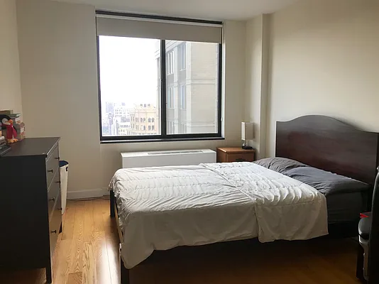 Rented by Luxus Manhattan Realty | media 4
