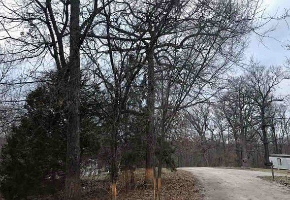 2nd image of 119 Crest Dr