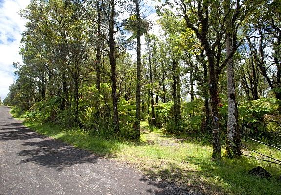 5th image of 11-1752 Menpachi St Lot 10