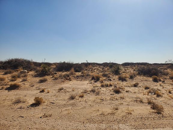 2nd image of Holt Ave